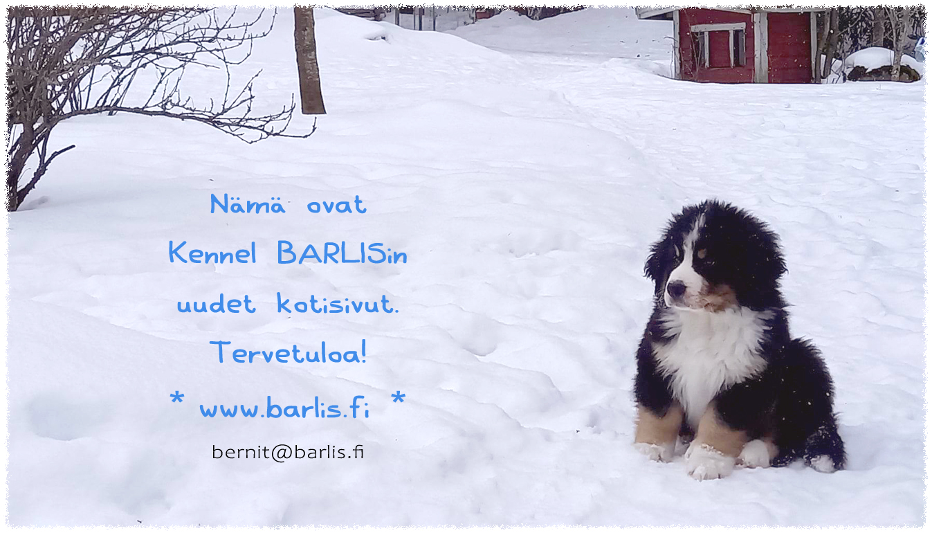 Kennel BARLIS - www.barlis.fi